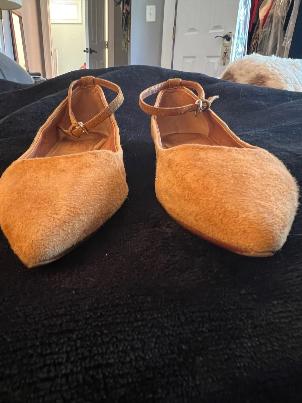 Madewell Suede Skimmer Pointed-Toe Ankle-Strap Flats
